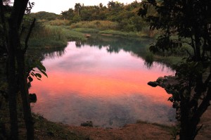 Cachon-de-la-rubia--amanecer-210209