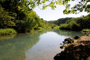 cachon-5