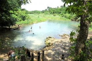 cachon3