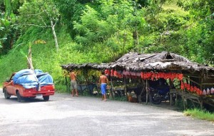 kioskos-de-frutas