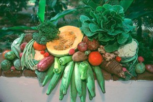 vegetales-y-víveres