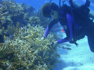 Foto suministrada por la FEPC.JPG-1
