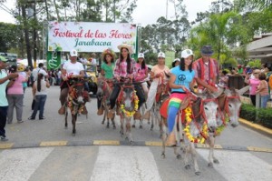 Flores jarabacoa4