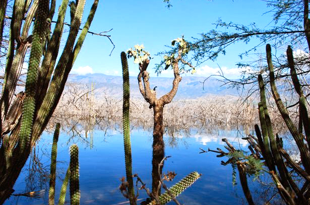 lago-enriquillo