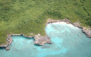 saona3