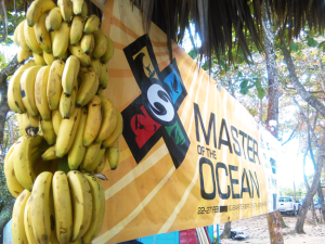 Master-of-the-Ocean-bananas_photo-Natascha-Gemuender