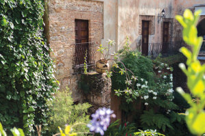 Patio-1