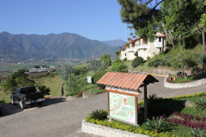 alto-cerro