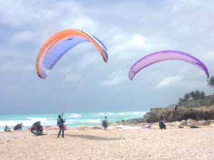 Barahona-los-patos-1