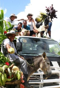 Bavaro Runners excursion en