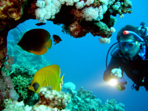 Scuba-Diving