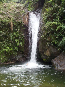 ocoa2
