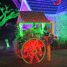 “Lo más brillante de la navidad dominicana”