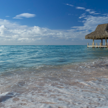 Grupo Puntacana 47 años de desarrollo sostenible en República Dominicana