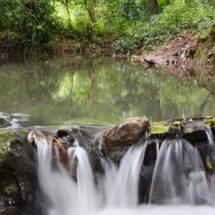 A explorar Monte Plata