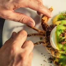 ‘Flavors of the World’ regresa a Casa de Campo Resort & Villas con una nueva selección de chefs internacionales y eventos culinarios de clase mundial.