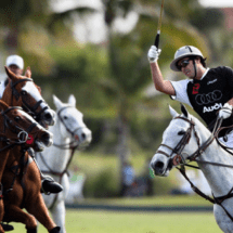 Torneos de Polo de Verano 2017