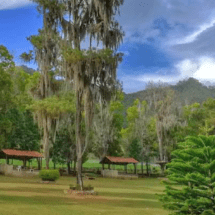 ¡YA LLEGO EL VERANO! OFERTAS DE TURISMO ECOLOGICO