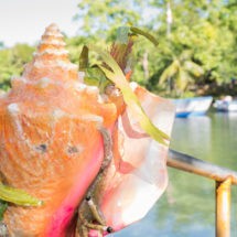 “Carnavarengue” único carnaval marino en el mundo, Orgullo de María Trinidad Sánchez
