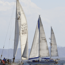 Turismo de veleros de gran tamaño la nueva apuesta de la región sur