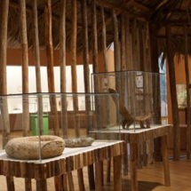 Conferencia y exhibición del Arte Taino en Centro León