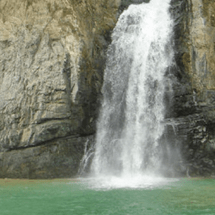 Un Monumento Natural golpeado por su hábitat.
