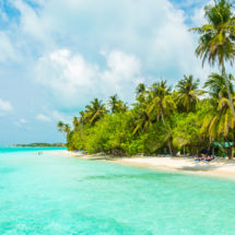 Isla Catalina: Paraíso Marino