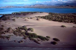 Dunas de Baní