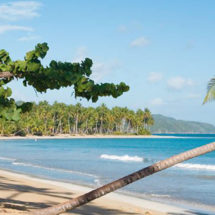 Playa Bonita en Las Terrenas, la más recomendada…