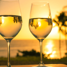 PUNTA CANA Y BAVARO PRESENTAN A SUS CLIENTES SUS VINOS DE GRAN CALIDAD QUE TIENEN EN SUS CAVAS