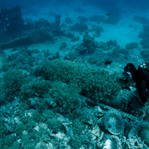 CONOCE LOS “MUSEOS VIVOS DEL MAR”