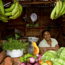 “DESCUBRE BARAHONA”, SUS PLAYAS, RIOS, PAISAJES, CULTURA Y SABORES