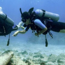 Fundación Grupo Puntacana desarrolla primer Museo Viviente del Mar en Punta Cana como Santuario de Peces
