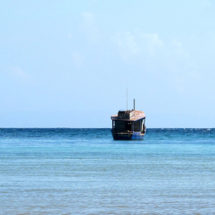 XII FESTIVAL DE PRIMAVERA EN CABRERA