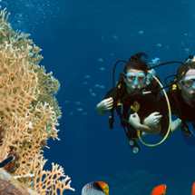 DESENTRERRANDO TESOROS SUBMARINOS EN LA ROMANA, REPÚBLICA DOMINICANA
