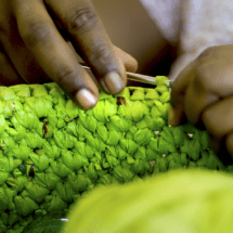 DÉMOSLE UN GIRO – Descarga Cero: La solución a un problema