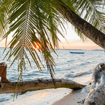 Playa Macao: A wonder