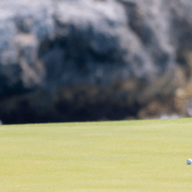 Corales Puntacana Resort & Club: sede de la tercera edición del  PGA TOUR en la República Dominicana