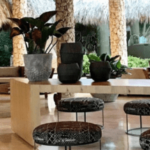 Viva Wyndham Dominicus Beach reabre sus puertas totalmente remodelado