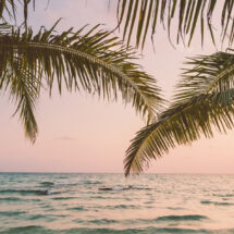 TURTLE LAGOON BEACH, PLAYA BONITA, LAS TERRENAS