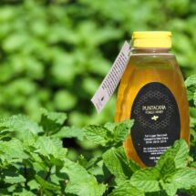 Puntacana Forest Honey gana por cuarta vez primer lugar en Concurso Nacional de Mieles