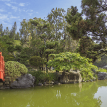 EL JARDÍN  BOTANICO DR. RAFAEL MARIA MOSCOSO DE SANTO DOMINGO, CUMPLE SUS 45 AÑOS.