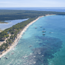 Isla Catalina: Paraíso Marino