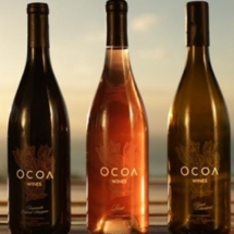 Ocoabay, un lugar precioso y elegante en el sur de azua