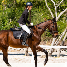 Puntacana Equestrian Center realiza 1ra y 2da competencia nacional de adiestramiento en Puntacana Resort & Club