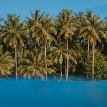 Nuestras 20 principales atracciones en Bávaro y Punta Cana