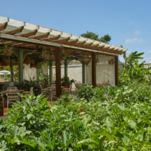 Cayo Levantado Resort: el lujo de fundirse en la naturaleza de una isla paradisíaca