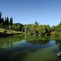 El Jardín Botánico “Dr. Rafael María Moscoso” de Santo Domingo celebra su 45° aniversario