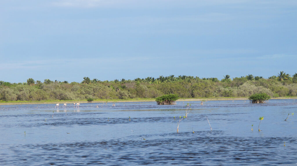Laguna de Oviedo