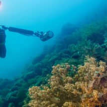 Tesoros Submarinos en La Romana, República Dominicana